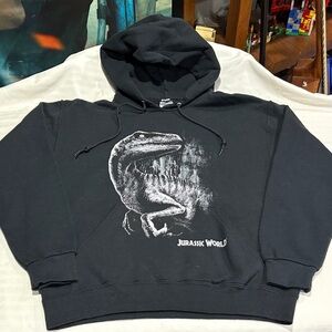 Jurassic World Black Hoodie Dinosaur Graphic Mens Medium